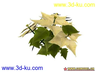 3D打印模型树的图片