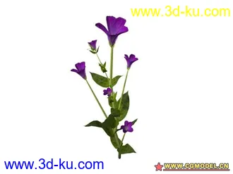 3D打印模型树的图片