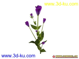 3D打印模型树的图片