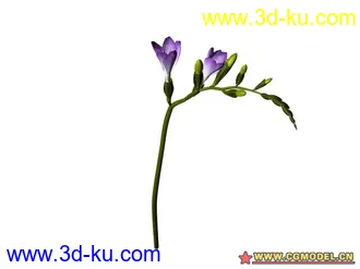 3D打印模型树的图片