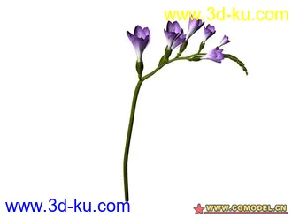 3D打印模型树的图片