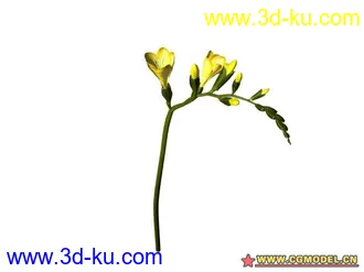 3D打印模型树的图片