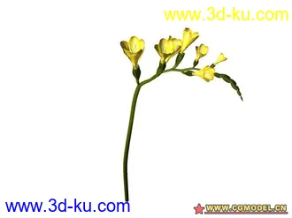 3D打印模型树的图片