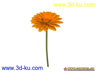 3D打印模型树的图片