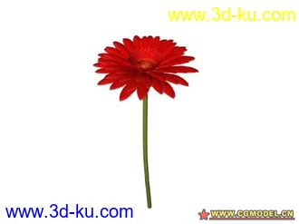 3D打印模型树的图片