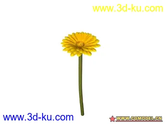 3D打印模型树的图片