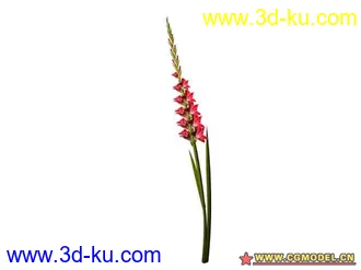 3D打印模型树的图片