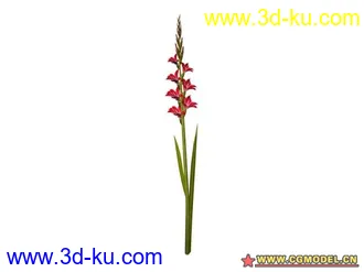 3D打印模型树的图片