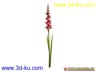 3D打印模型树的图片