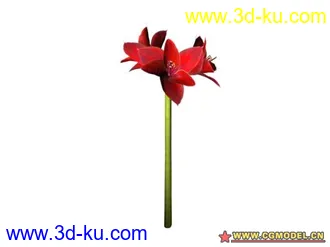 3D打印模型树的图片