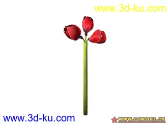 3D打印模型树的图片