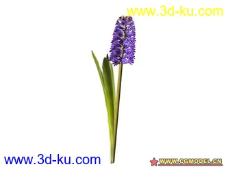 3D打印模型树的图片