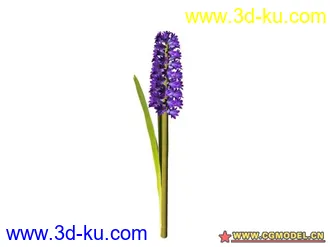 3D打印模型树的图片