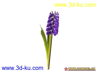 3D打印模型树的图片