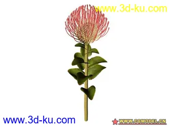 3D打印模型树的图片