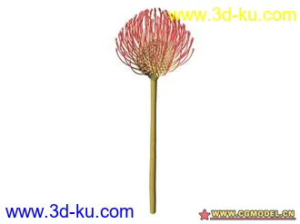 3D打印模型树的图片