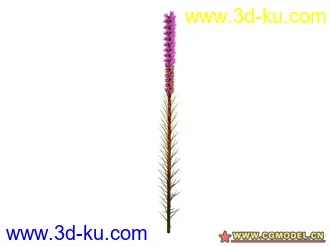 3D打印模型树的图片