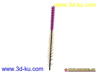 3D打印模型树的图片