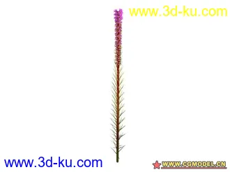 3D打印模型树的图片