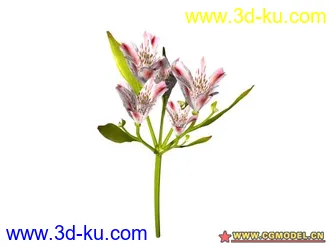 3D打印模型树的图片