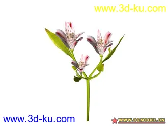 3D打印模型树的图片