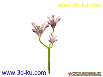 3D打印模型树的图片