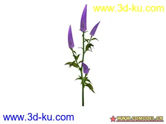 3D打印模型树的图片