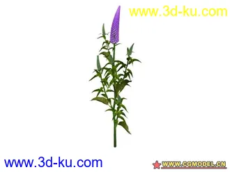 3D打印模型树的图片