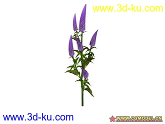 3D打印模型树的图片