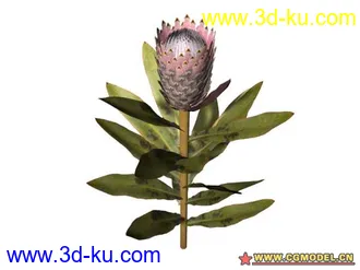 3D打印模型树的图片