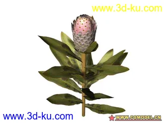 3D打印模型树的图片