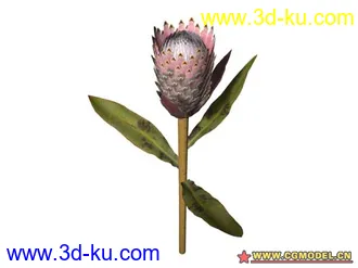 3D打印模型树的图片