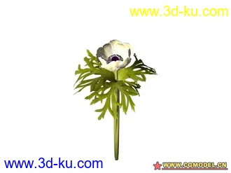 3D打印模型树的图片