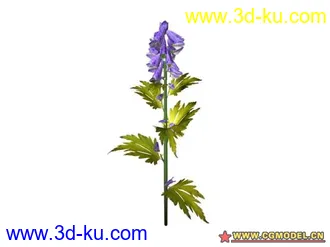 3D打印模型树的图片