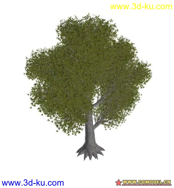 树02模型的图片2