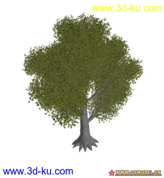3D打印模型树02的图片