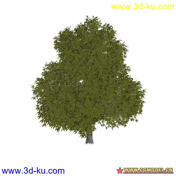 树02模型的图片3