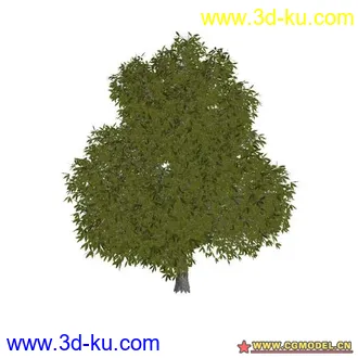 3D打印模型树02的图片