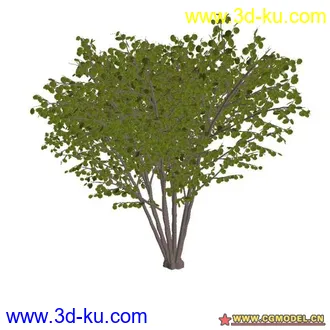 3D打印模型树02的图片