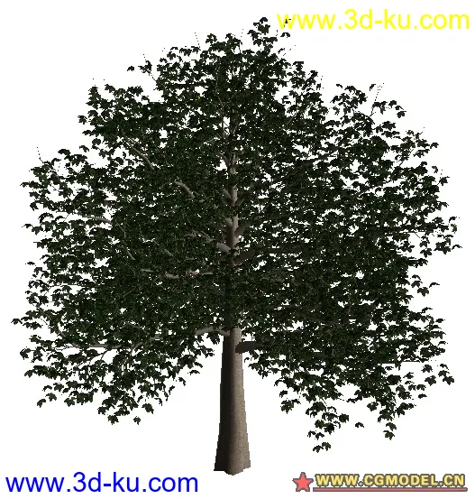 树02模型的图片8