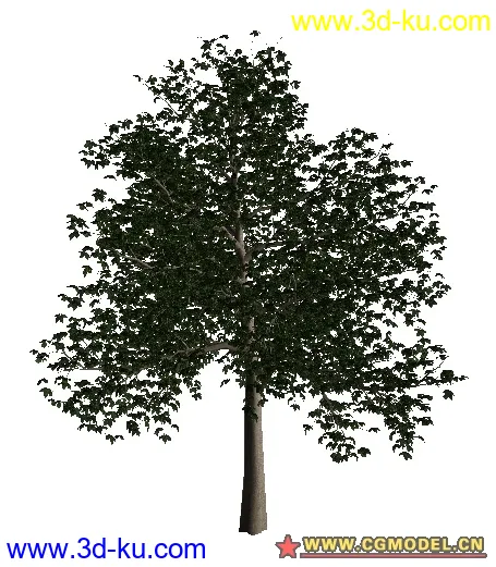 树02模型的图片9