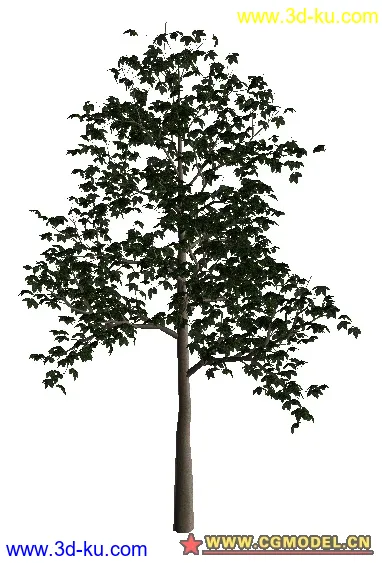 树02模型的图片10