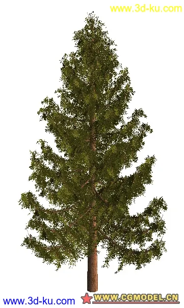 树02模型的图片28