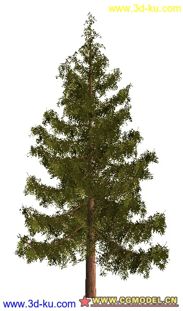 树02模型的图片29