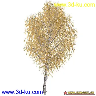 3D打印模型树02的图片