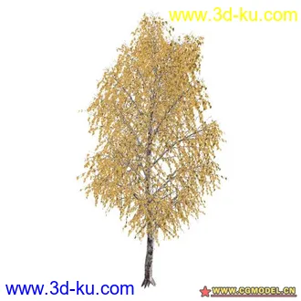 3D打印模型树02的图片