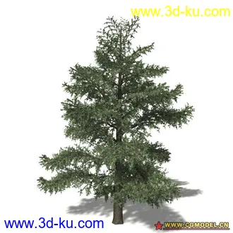 3D打印模型树03的图片