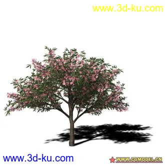 3D打印模型树03的图片