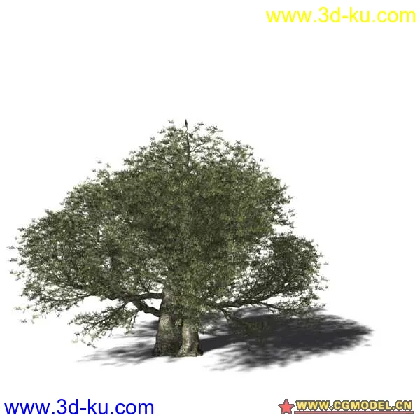 树03模型的图片3