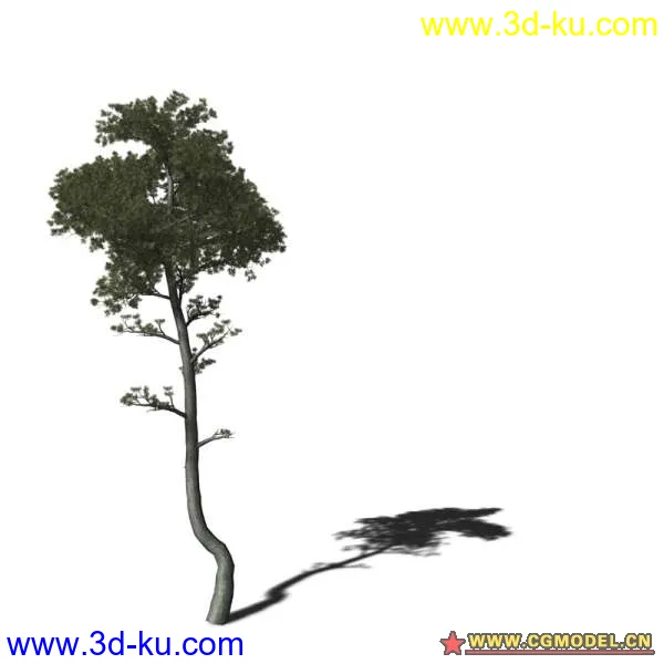 树03模型的图片4